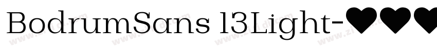 BodrumSans 13Light字体转换